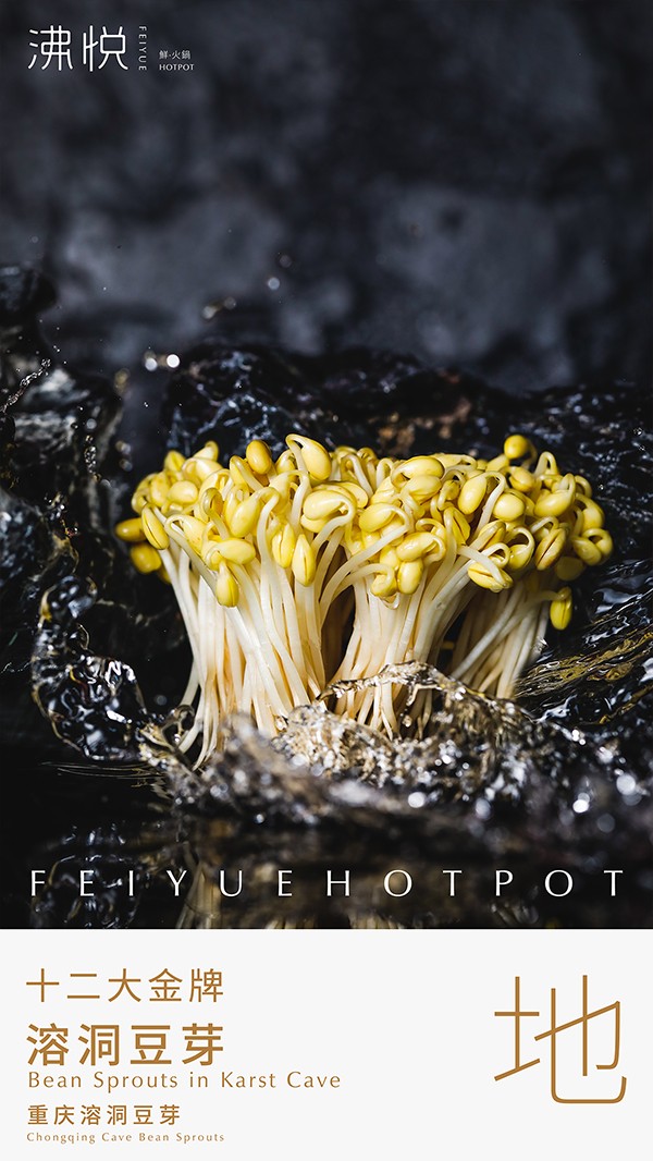 溶洞豆芽